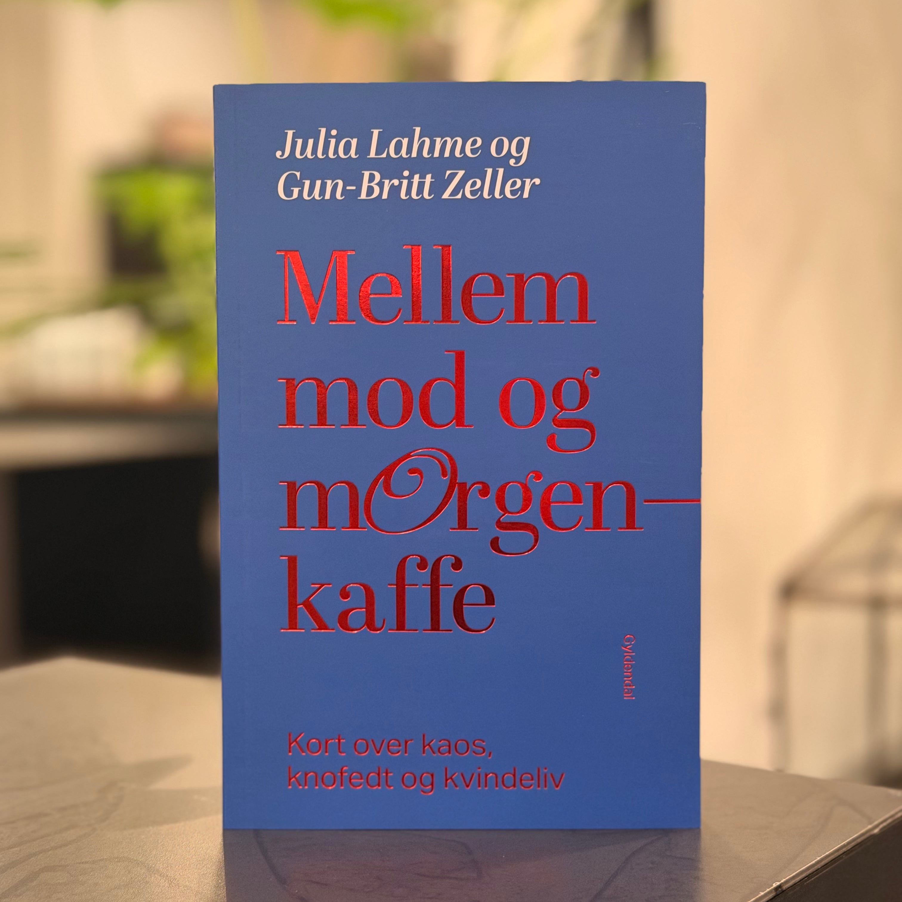 Mellem mod og morgenkaffe(bog)